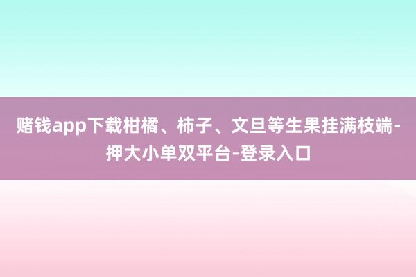 赌钱app下载柑橘、柿子、文旦等生果挂满枝端-押大小单双平台-登录入口