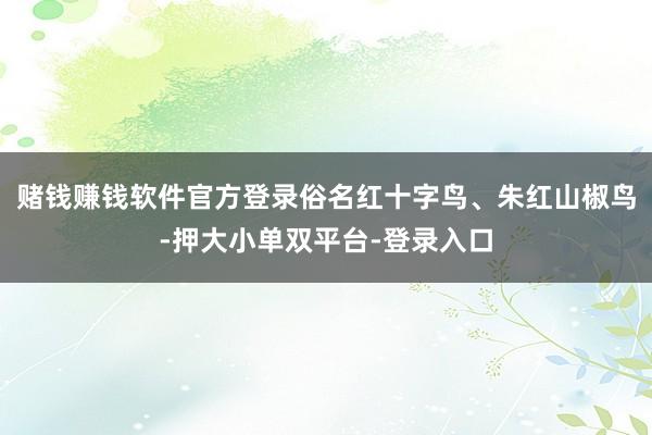 赌钱赚钱软件官方登录俗名红十字鸟、朱红山椒鸟-押大小单双平台-登录入口